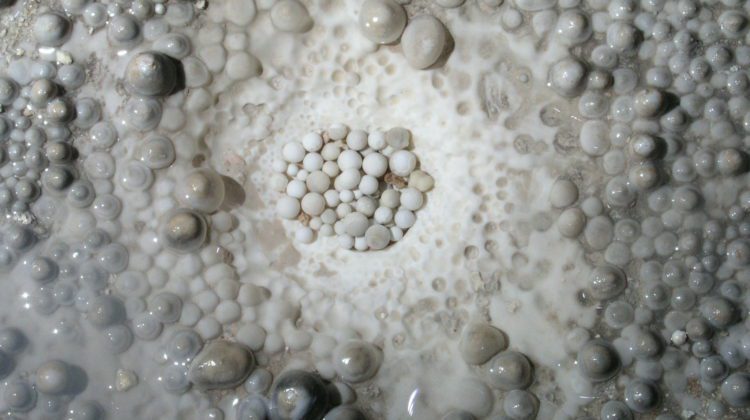 Cave Pearls