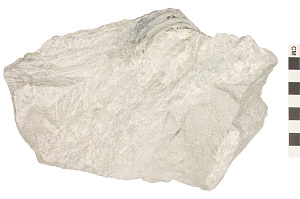 Sedementary Limestone.jpg