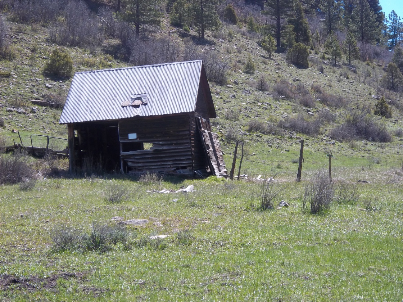 100_5833.JPG
