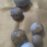 8th Annual Bottle show Stone Clay Marbles 5.jpg