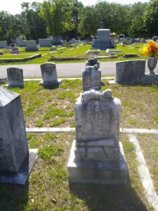 G:\Facebook and Work\Lambs in the graveyard.jpg